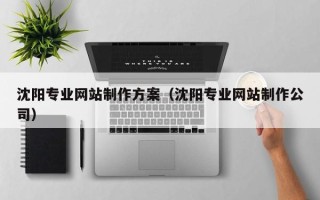 射洪沈阳专业网站制作方案（沈阳专业网站制作公司）